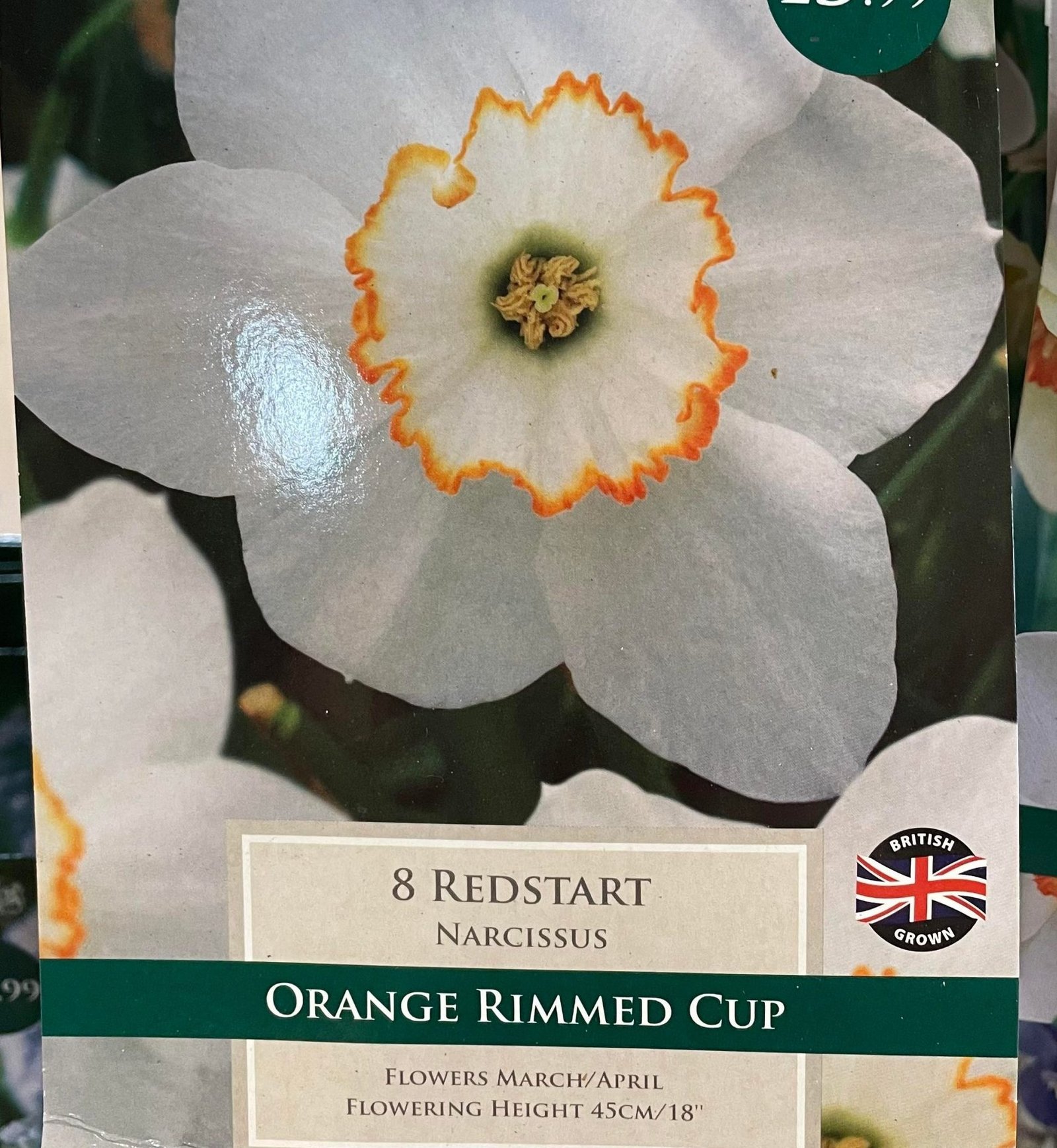 Taylors 8 Redstart Narcissus