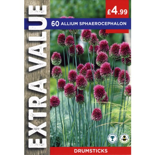 Taylors Extra Value 60 Allium Sphaerocephalon