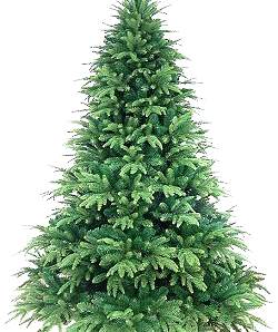 christmas-tree-png-28