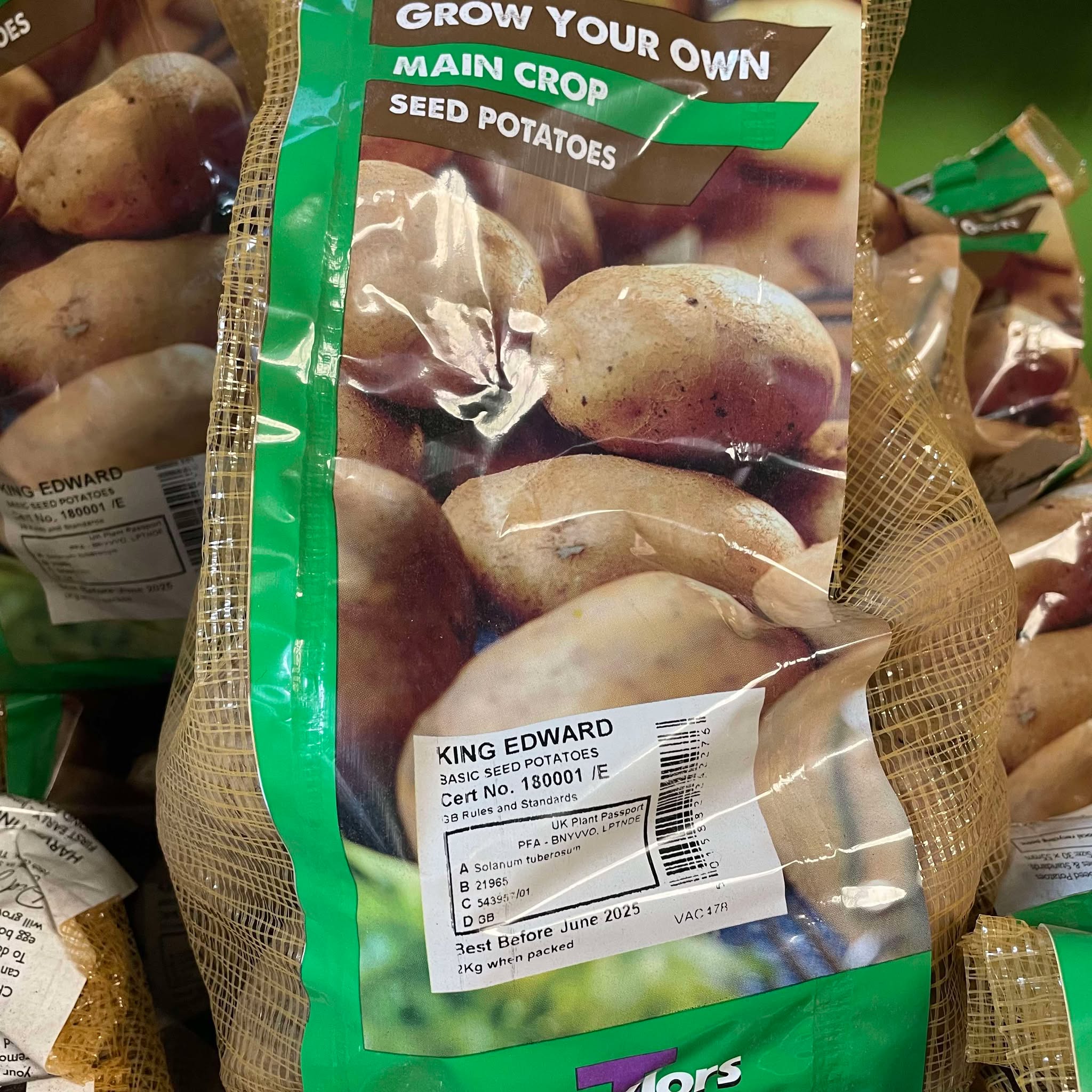 Taylors King Edwards Seed Potato's Pack