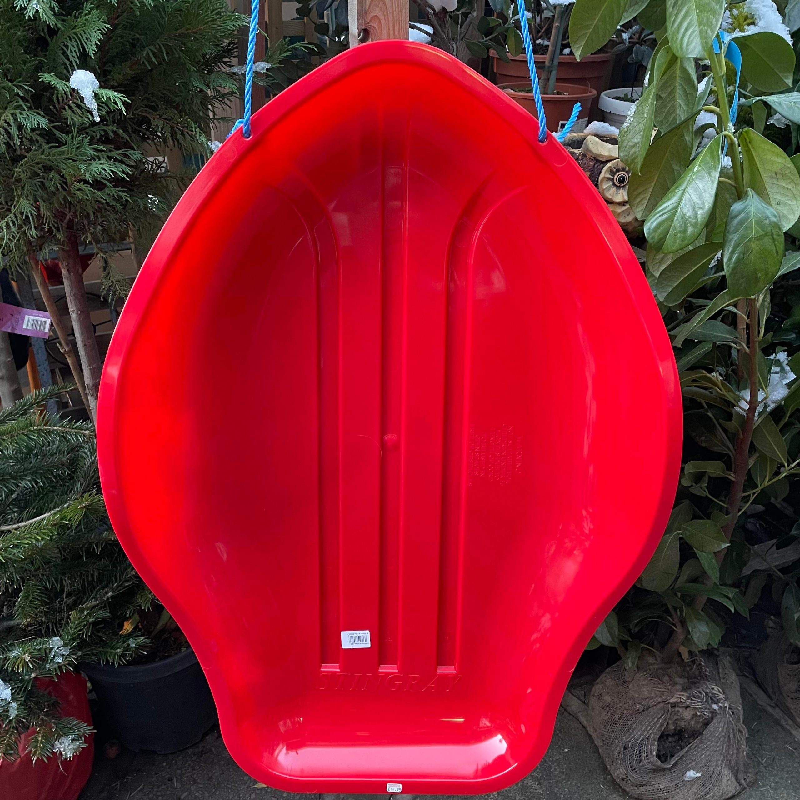 Red Stringray Sledge